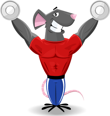 Migthy Mouse Mascot - Gym Mascots - Transparent PNG Free Download