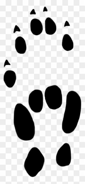 Stoat Paw Prints Clipart 22 Mm - Stoat Paw Prints Clipart 22 Mm - Transparent PNG Free Download