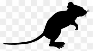 Little Mouse Sniffing Around - Portable Network Graphics - Transparent PNG Free Download