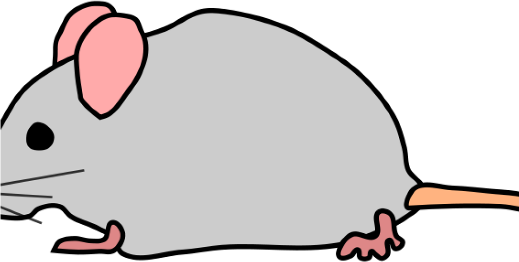 Mouse Clipart Cute Mouse Clipart Clipart Panda Free - Clip Art - Transparent PNG Free Download