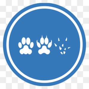 Cat Dog Mouse Unification Peace Logo - Bf Token - Transparent PNG Free Download