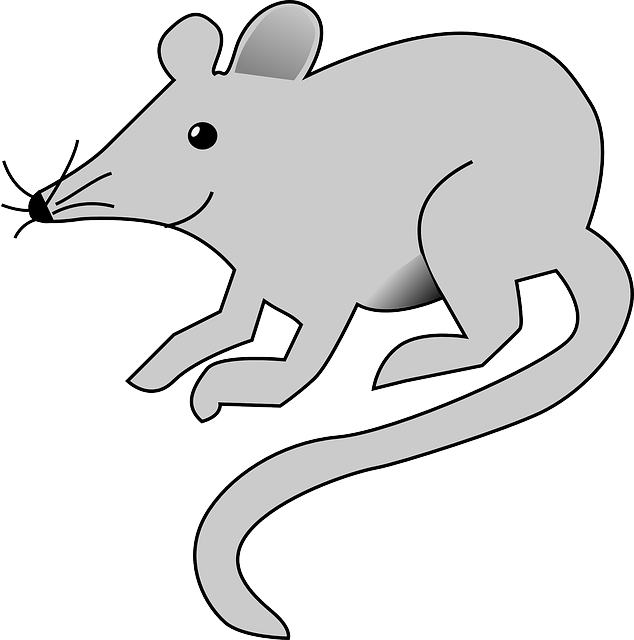 Mouse, Cartoon, Rat, Grey, Animal, Tail, Arts, Rats - Rat Clipart - Transparent PNG Free Download