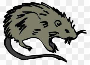 Mouse Rat Rodent Clip Art At Vector Clip Art - Burial Of The Rats [book] - Transparent PNG Free Download