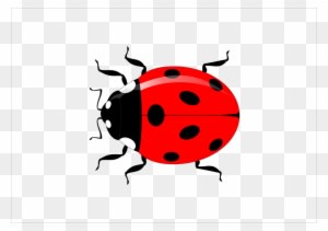 Mouse Running Cliparts 21, Buy Clip Art - Vector Graphics - Transparent PNG Free Download