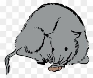 Woodcut Rat, Mouse, Woodcut - Rat - Transparent PNG Free Download