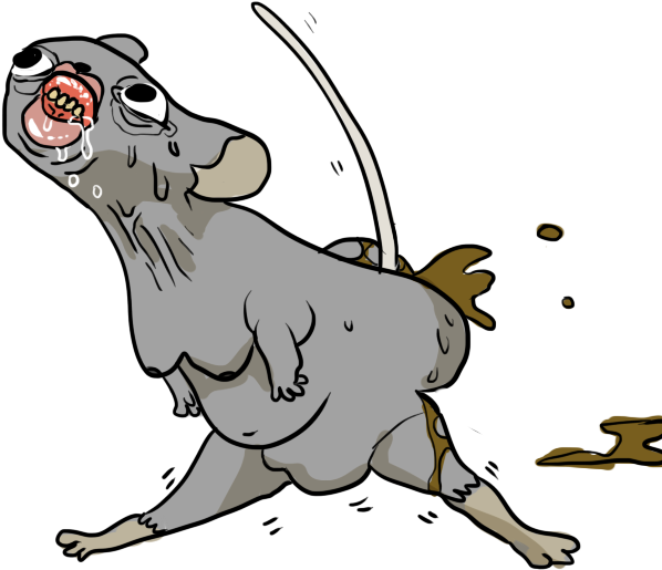 I Also Just So Happen To Own A Photo Of A Mouse Shitting - I Also Just So Happen To Own A Photo Of A Mouse Shitting - Transparent PNG Free Download