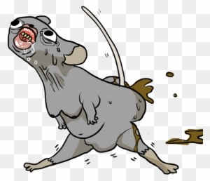 I Also Just So Happen To Own A Photo Of A Mouse Shitting - I Also Just So Happen To Own A Photo Of A Mouse Shitting - Transparent PNG Free Download