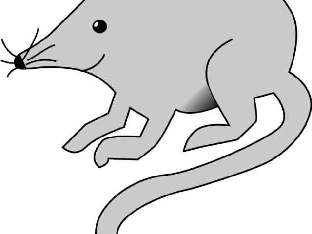 Rat Mouse Clipart White - Rat Clip Art Vector - Transparent PNG Free Download