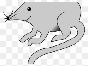 Rat Mouse Clipart White - Rat Clip Art Vector - Transparent PNG Free Download