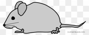 Gray Mouse Animal Free Black White Clipart Images Clipartblack - Maus Clipart - Transparent PNG Free Download