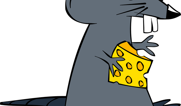 Mouse Rodent Cheese Rat Mammal Animal Cartoon 152162 - Cartoon-maus Mit Käse Karte - Transparent PNG Free Download