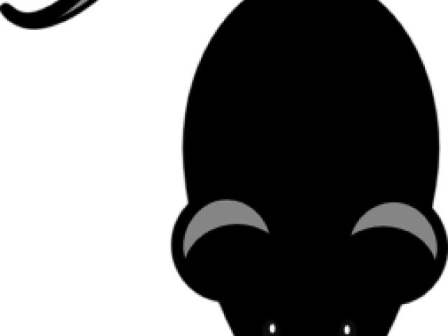 Rat Mouse Clipart Black - Rat - Transparent PNG Free Download