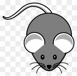 White Mouse Grey-body Clip Art At Clker - Raton Gris - Transparent PNG Free Download
