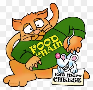 Food Chain With Cat And Mouse - Food Chain Clip Art - Transparent PNG Free Download
