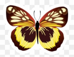 Spinning Mouse - Butterfly Vector Free - Transparent PNG Free Download