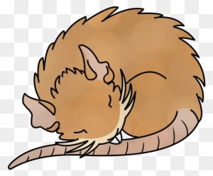 Pokemon Raticate Pkmnart Artists On Tumblr Illustration - Pokemon Raticate Pkmnart Artists On Tumblr Illustration - Transparent PNG Free Download