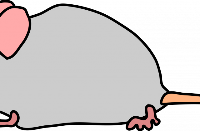 Maus Clipart Clipart Collection Funny Cartoon Mouse - Maus Clipart - Transparent PNG Free Download