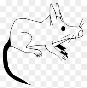 Rat Mouse Clipart Black - Gambar Hewan Hitam Putih Tikus - Transparent PNG Free Download