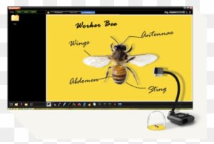 Just Plug In A Mouse To Carry Out Onboard Annotation - Flexible Arm Interactive Visualizer/document Camera - Transparent PNG Free Download