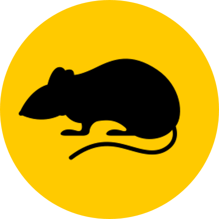 Mouse Button - Osmate - Transparent PNG Free Download