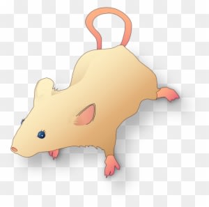 Vectorized Lab Mouse Mg 3263 For Scientific Figures - Thumbnail - Transparent PNG Free Download