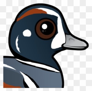 Also Known As - Duck Totem Pole - Transparent PNG Free Download