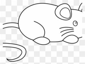 Rat Mouse Clipart - Clip Art - Transparent PNG Free Download