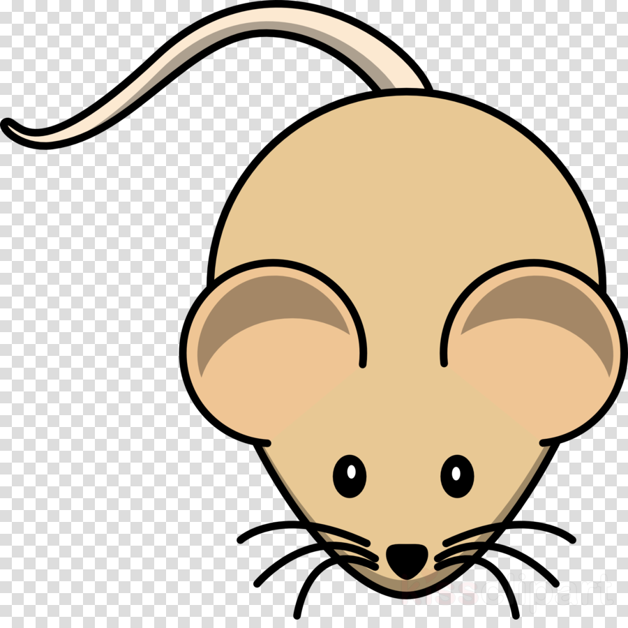 Mouse Clip Art Clipart Computer Mouse Clip Art - Mouse Clip Art Clipart Computer Mouse Clip Art - Transparent PNG Free Download