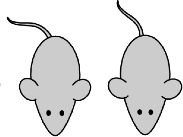 Mouse Clipart Laboratory - Mouse Clipart Laboratory - Transparent PNG Free Download