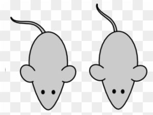 Mouse Clipart Laboratory - Mouse Clipart Laboratory - Transparent PNG Free Download