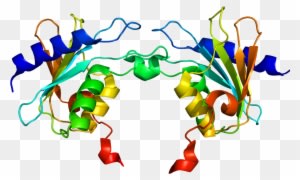 Phenylketonuria Cured In Mouse Model By Adaptation - Phenylketonuria Cured In Mouse Model By Adaptation - Transparent PNG Free Download