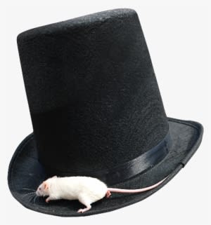 Magician Top Hat Png With White Mouse - Mouse - Transparent PNG Free Download