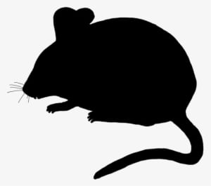 Cute Mouse Silhouette - Mouse Silhouette Clip Art - Transparent PNG Free Download