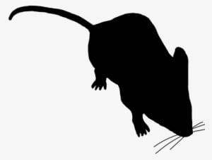 Little Mouse Sniffing Around - Mouse Silhouette Transparent Background - Transparent PNG Free Download
