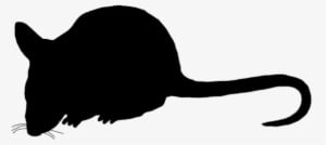 Mouse Silhouette Sidewasy, Mouse Clip Art Silhouette - Mouse Silhouette Transparent - Transparent PNG Free Download