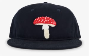 Modest Mouse Ambsn Mushroom Hat - Modest Mouse Mushroom Hats - Transparent PNG Free Download