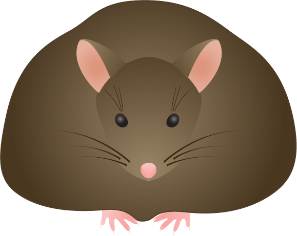 Ill Png, Fat Brown Mouse - Fat Mouse Clip Art - Transparent PNG Free Download
