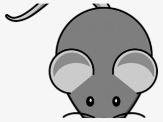 Whiskers Clipart Mouse Whisker - Cartoon Mouse - Transparent PNG Free Download