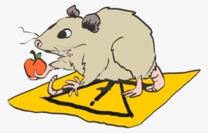 The Caution Possum Doesn't Quite Get It, But He's Trying - Mouse - Transparent PNG Free Download