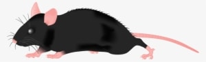 Clipart - Black Mouse Clipart - Transparent PNG Free Download
