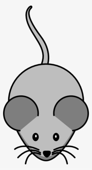 Small - Cartoon Mouse Shower Curtain - Transparent PNG Free Download