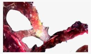 Tokyo Ghoul Ken Kaneki 04 Anime Game Gaming Mouse Pad - Transparent PNG Free Download