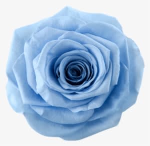 Sky Blue - Mickey Mouse - Transparent PNG Free Download