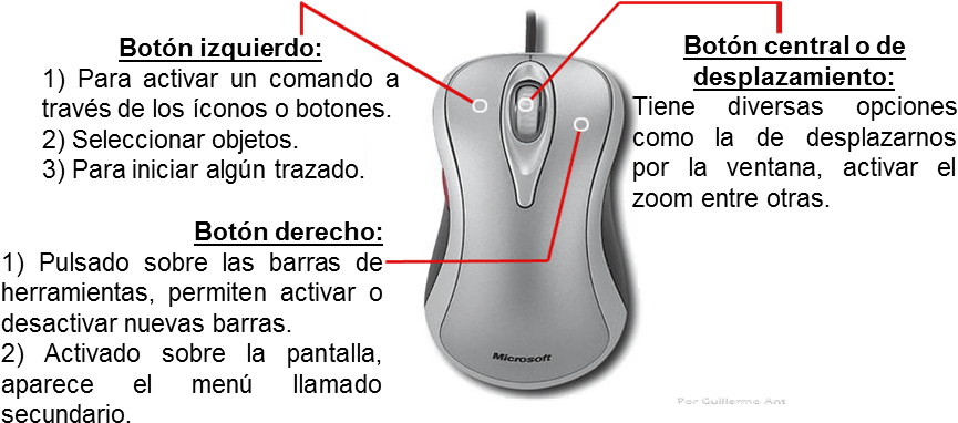 Existe Una Gran Variedad De Ratones En El Mercado, - Mouse Y Sus Funciones - Transparent PNG Free Download