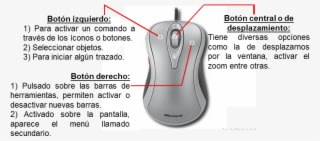 Existe Una Gran Variedad De Ratones En El Mercado, - Mouse Y Sus Funciones - Transparent PNG Free Download