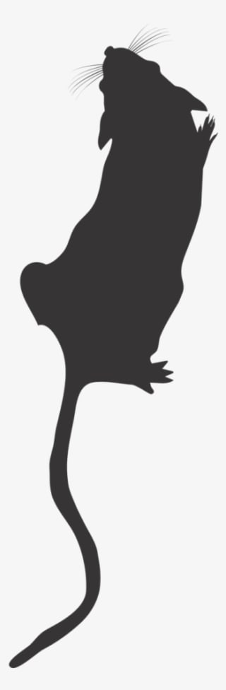 Lab Mouse Top View,mouse Silhouette,lab Mouse Icon,mouse - Rat Silhouette Top View - Transparent PNG Free Download