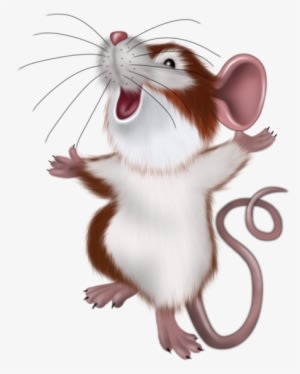 Mouse Illustration, Illustration Mignonne, Mouse Pictures, - Good Morning Its Friday - Transparent PNG Free Download