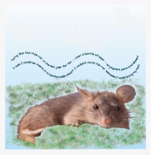 Clip Art Clipart Mouse Rat Clip Art - Transparent PNG Free Download