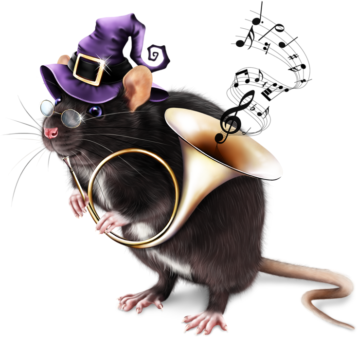 Mouse Liveinternet Mice - Rat - Transparent PNG Free Download