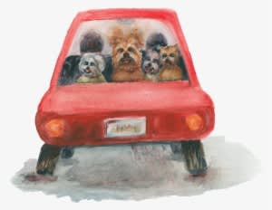 In Reality, Scamp Was Trying To Chase A Mouse Soon - Pug - Transparent PNG Free Download